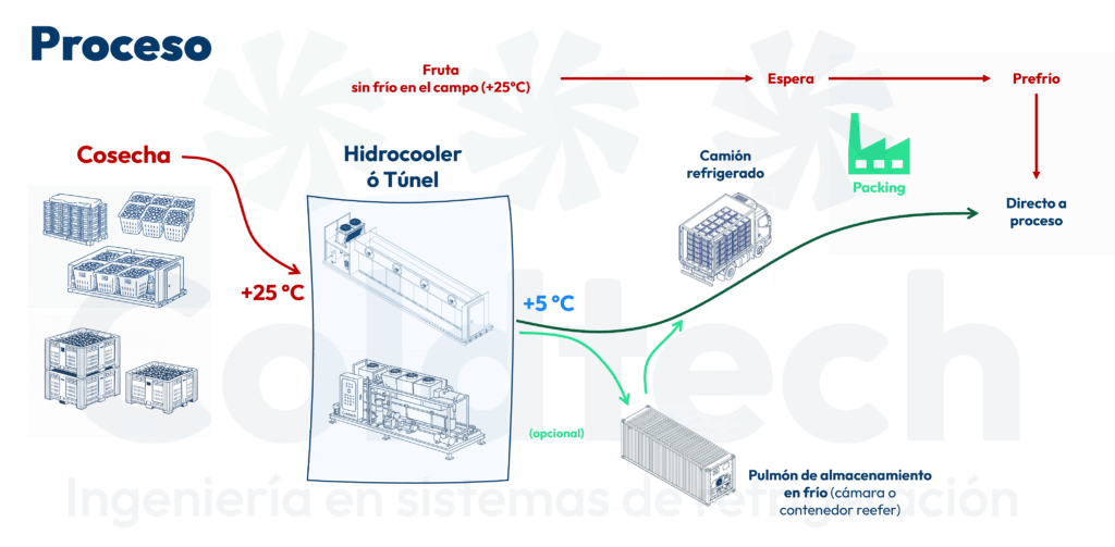 Proceso equipos de refrigeración transportables hidrocooler y túneles de aire forzado