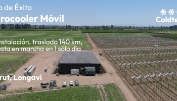 Sitio web\Contenido
