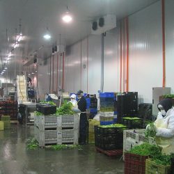 sala de proceso climatizada